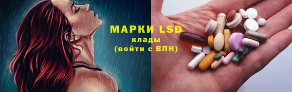индика Михайлов
