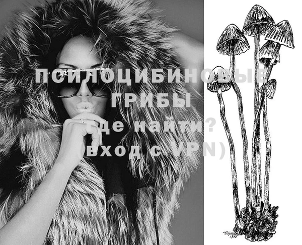 эйфоретик Алзамай