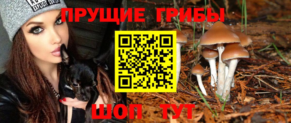 Псилоцибиновые грибы Magic Shrooms Воткинск