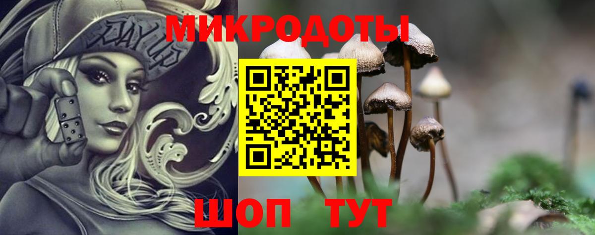 Псилоцибиновые грибы GOLDEN TEACHER  Вход с VPN  Воткинск 